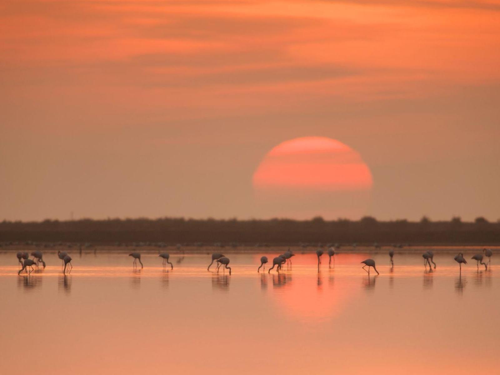 Mas De Melonet Delta Del Ebro Сasa de vacaciones *